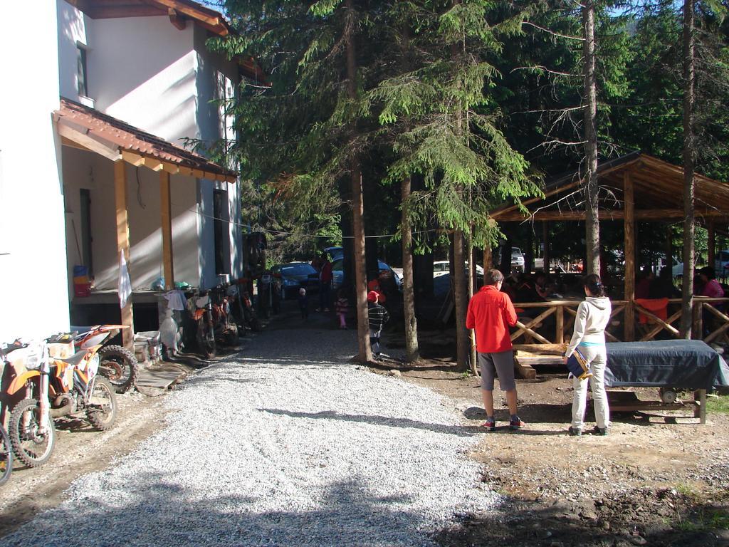 Complex Transalpina Lac Voineasa Exteriör bild