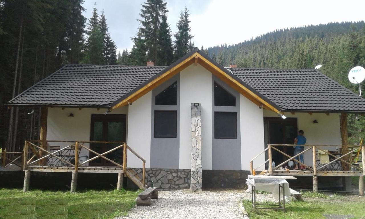 Complex Transalpina Lac Voineasa Exteriör bild